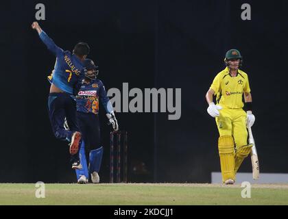 Le Dunith Welllalage du Sri Lanka célèbre après la prise de cricket de Marnus Labuschagne en Australie lors du match international d'une journée 5th entre le Sri Lanka et l'Australie au stade R. Premadasa sur 24 juin 2022, à Colombo, au Sri Lanka. Banque D'Images