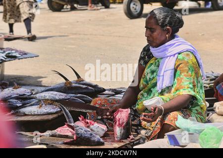 Femme vendant du poisson frais au marché de poissons le long de la plage à Vizhinjam, Kerala, Inde, sur 26 mai 2022. (Photo de Creative Touch Imaging Ltd./NurPhoto) Banque D'Images