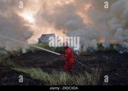 Le personnel de Manggala Agni est en voie d'éteindre les incendies de tourbières qui se sont produits dans le village d'Arisan Jaya, dans la régence d'Ogan Ilir, dans la province de Sumatra Sud, le mardi 28 juin 2022. Les feux de forêt et de terre se produisent presque chaque année dans la province de Sumatra Sud. (Photo de Sigit Prasetya/NurPhoto) Banque D'Images