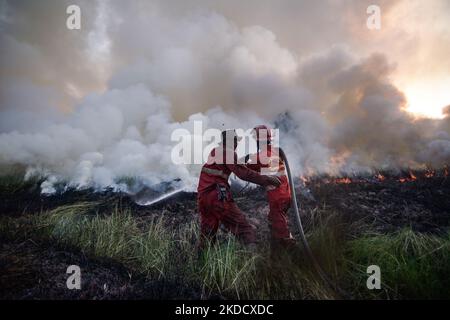 Le personnel de Manggala Agni est en voie d'éteindre les incendies de tourbières qui se sont produits dans le village d'Arisan Jaya, dans la régence d'Ogan Ilir, dans la province de Sumatra Sud, le mardi 28 juin 2022. Les feux de forêt et de terre se produisent presque chaque année dans la province de Sumatra Sud. (Photo de Sigit Prasetya/NurPhoto) Banque D'Images