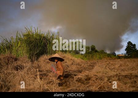 Incendies de tourbières survenus dans le village d'Arisan Jaya, Régence d'Ogan Ilir, province de Sumatra Sud, mardi 28 juin 2022. Les feux de forêt et de terre se produisent presque chaque année dans la province de Sumatra Sud. (Photo de Sigit Prasetya/NurPhoto) Banque D'Images