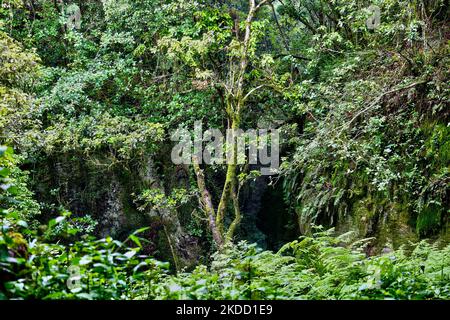 Entrée aux grottes de Guna (cuisine du Devils) à Kodaikanal, Tamil Nadu, Inde, sur 16 mai 2022. Guna Caves est une série de grottes et de cavernes, ainsi qu'un lieu de visite célèbre pour ses 3 rochers de type pilier. Devils Kitchen est le nom original de ce lieu, mais à la suite du film à succès Kamal Hassan intitulé Guna (qui a été filmé dans ces grottes), ils sont maintenant connus comme les Grottes de Guna par les touristes indiens. 13 personnes sont mortes en essayant d'entrer dans les grottes. (Photo de Creative Touch Imaging Ltd./NurPhoto) Banque D'Images