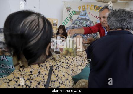 Vente de produits lors de l'inauguration de la Foire des produits Artisanal et durables sur l'esplanade du Macroplaza Cuitláhuac dans le quartier Iztapalapa de Mexico, avec la participation de plus de 40 exposants et producteurs de l'intérieur de la République mexicaine, Qui font partie des programmes fédéraux Sembrando Vida et Conservación de Áreas Naturales (semis de la vie et conservation des zones naturelles). Le but de cette foire est d'apporter leurs méthodes de production respectueuses de l'environnement à Mexico, avec la valeur ajoutée que la consommation de toute la variété d'artis Banque D'Images