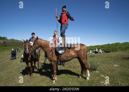 ''Rapa das Bestas''. Chaque année depuis le XVIIe siècle, dans la petite ville de Sabucedo, ''aloitadores'' coupe les manes des chevaux sauvages. Les gens de Sabucedo vont dans les montagnes près de la ville pour capturer les chevaux et les ramener pour célébrer cette tradition. Quand ils ont fini la coupe des manes, ils ont libéré de nouveau les chevaux dans les montagnes, à Sabucedo, Galice, Espagne, sur 3 juillet, 2022. Banque D'Images