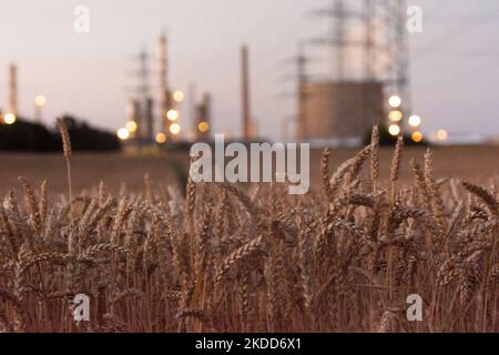 Vue générale de la raffinerie de pétrole Shell à Wesseling, près de Cologne, en Allemagne, sur 4 juillet 2022 (photo de Ying Tang/NurPhoto) Banque D'Images