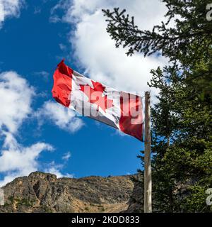 Drapeau du Canada avec pin en forme de carré, parc national Banff, Alberta, Canada. Banque D'Images
