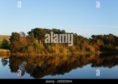 Harlaw réservoir collines de Pentland Lothian Écosse Banque D'Images