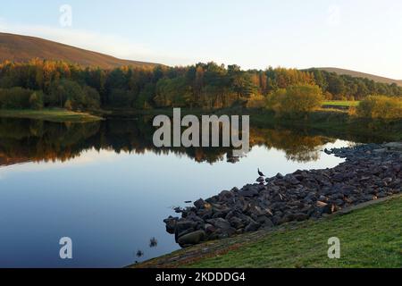 Harlaw réservoir collines de Pentland Lothian Écosse Banque D'Images