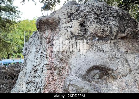 La statue du Lion à Ifran Banque D'Images