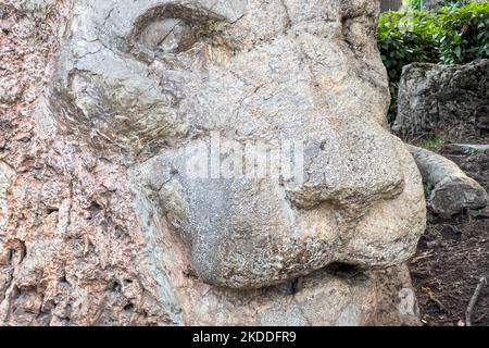 La statue du Lion à Ifran Banque D'Images