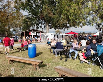 Familles et hommes, femmes et enfants assis à des tables de pique-nique en plein air pour manger à une foire locale d'art et d'artisanat à Pike Road Alabama, États-Unis. Banque D'Images
