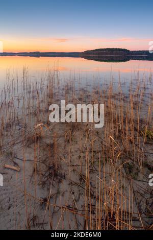 Grand lac de Fuerstensee avec roseaux au coucher du soleil, parc national de Mueritz, Fuerstensee, Mecklembourg-Poméranie occidentale, Allemagne Banque D'Images