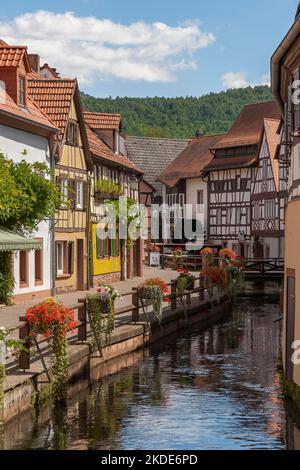 Allée de l'eau avec la rivière Queich, Annweiler, Palatinat, Rhénanie-Palatinat, Allemagne Banque D'Images