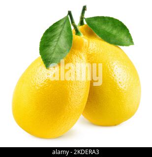 Citron, isolé sur fond blanc, chemin de détourage, pleine profondeur de champ Banque D'Images