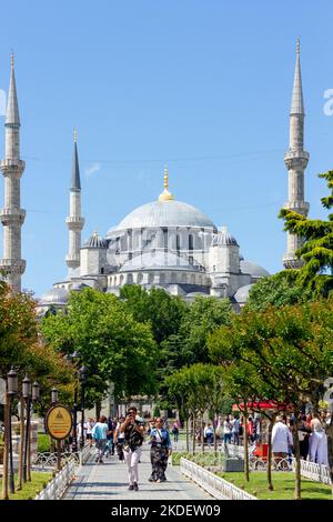 Mosquée bleue, vue extérieure de la célèbre mosquée du Sultan Ahmed, une mosquée impériale de l'époque ottomane à Istanbul, Turquie. Il a été construit au début des années 1600. Banque D'Images