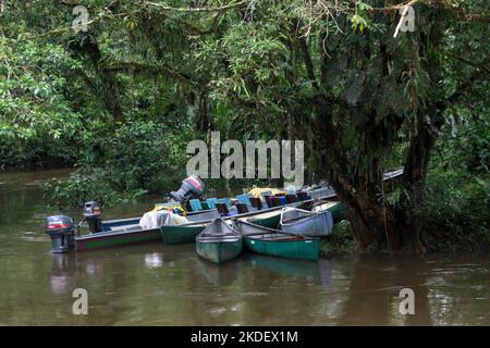 Transport fluvial dans la forêt équatoriale amazonienne équatorienne photographiée dans la réserve de Cuyabeno en Équateur Banque D'Images