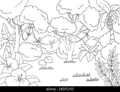 Jungle pluie forêt graphique noir blanc paysage dessin illustration vecteur Illustration de Vecteur