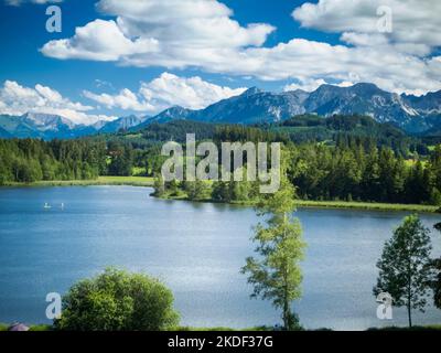 Vue sur le paysage de la Schwaltenweiher à Allgäu/Bavière et les premiers contreforts des Alpes dans les contreforts des Alpes derrière elle dans la plus belle Banque D'Images