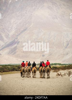 Hunder est un village dans le district de Leh de Ladakh, Inde célèbre pour les dunes de sable, chameaux de Bactrian. Les touristes adorent prendre aride sur des chameaux à double bosse. Banque D'Images