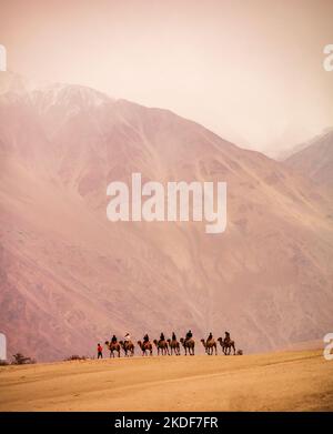 Hunder est un village dans le district de Leh de Ladakh, Inde célèbre pour les dunes de sable, chameaux de Bactrian. Les touristes adorent prendre aride sur des chameaux à double bosse. Banque D'Images