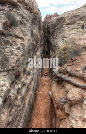 The Needles Trail dans le parc national de Canyonlands, Utah. Banque D'Images