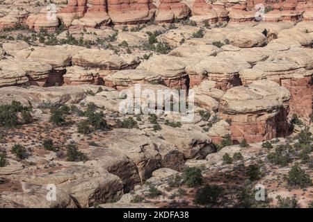 The Needles Trail dans le parc national de Canyonlands, Utah. Banque D'Images