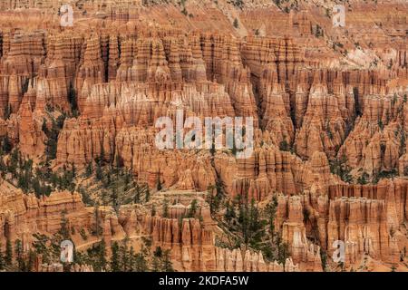 L'immensité de Hoodoo dans la zone principale de l'amphithéâtre du parc national de Bryce Canyon Banque D'Images
