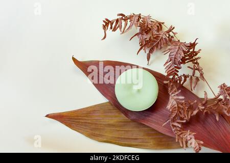 savon solide vert sur feuilles séchées-shampooing ou savon biologique naturel fait maison. Mise au point sélective. Banque D'Images