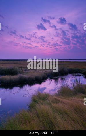 Lever du soleil dans la baie de Chesapeake, le plus grand estuaire des États-Unis Banque D'Images