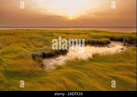 Lever du soleil dans la baie de Chesapeake, le plus grand estuaire des États-Unis Banque D'Images