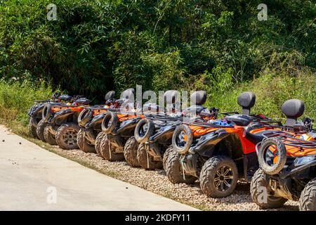 Karting tout-terrain en montagne dans le parc Banque D'Images