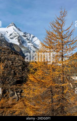 Vue à couper le souffle sur le sommet de Grossglockner, avec la route alpine de Grossglockner, mélèze jaune brillant Banque D'Images