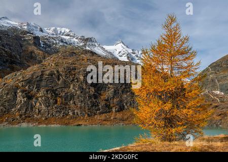 Vue à couper le souffle sur le sommet de Grossglockner, avec la route alpine de Grossglockner, mélèze jaune brillant Banque D'Images