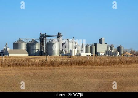 Horizon des bacs de stockage de grain et de l’élévateur de grain d’une coopérative agricole à Eldridge, Dakota du Nord Banque D'Images