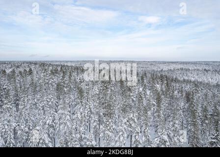 Photo aérienne d'une forêt enneigée en hiver en Finlande Banque D'Images