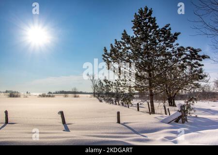 Neige fraîche par une journée d'hiver froide et ensoleillée. Paysage d'hiver. Rayons du soleil se reflétant sur la neige. Banque D'Images