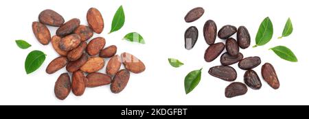 cacao avec feuille isolée sur fond blanc vue du dessus. Pose à plat Banque D'Images