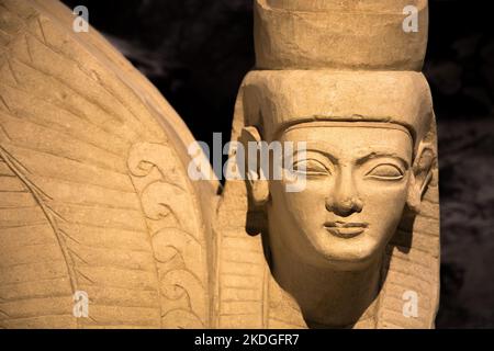 Leiden, pays-Bas - 04 JANVIER 2020 : statue de Sphinx avec couronne de pschent égyptien de l'ancienne Chypre. L'Égypte ancienne influence Chypre Banque D'Images