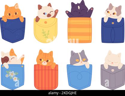 Chats de poche. Adorables chatons dans de grandes poches, heureux charmant t-shirt de chat de bébé, dessin animé enfant peluches animaux personnages mignon petit chaton tête art dessin grenat illustration vectorielle de la poche chaton Illustration de Vecteur