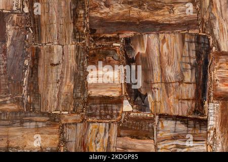 Dalle en bois pétrifié. Pierre semi-précieuse pour mur en céramique, carrelage numérique au sol. Texture du matériau pour un design intérieur et extérieur unique Banque D'Images