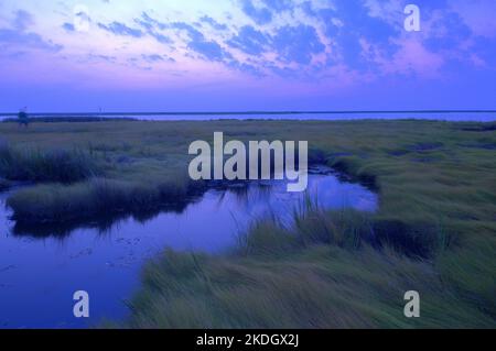 Lever du soleil dans la baie de Chesapeake, le plus grand estuaire des États-Unis Banque D'Images