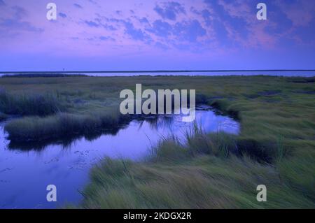 Lever du soleil dans la baie de Chesapeake, le plus grand estuaire des États-Unis Banque D'Images