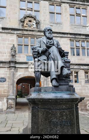 Charles Darwin, statue, se dresse devant sa vieille école, maintenant, la bibliothèque de Shrewsbury. La sculpture en bronze a été créée par le sculpteur Horace Montford et présentée au quartier de Shrewsbury par la Shropshire Horticultural Society en 1897. La bibliothèque de Shrewsbury occupe un bâtiment classé de catégorie I situé sur les portes du château près du château de Shrewsbury. Le site a été la maison de Shrewsbury School de 1550 à 1882,dans,centre,de,Shrewsbury,Shropshire,Angleterre,anglais,GB,Grande-Bretagne,britannique,Europe, Banque D'Images