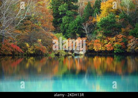 Le paysage de la belle automne laisse au Japon le paysage de Nikko Yunoko comme un tableau Banque D'Images