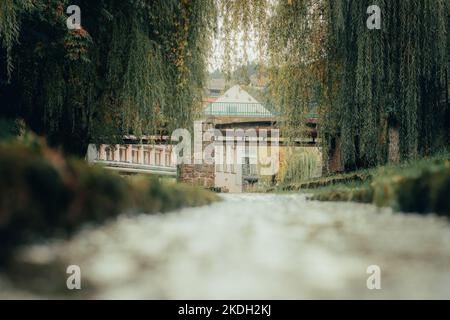 Petit ruisseau dans la rivière au milieu de dolenjske toplice, ville thermale dans le sud de la slovénie, pont visible et saules. Banque D'Images