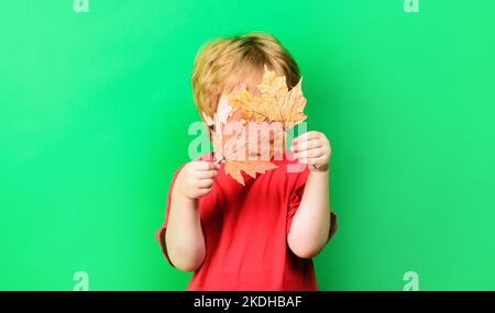 Le petit garçon se cache par des feuilles d'érable jaune. Ambiance automnale. Feuilles d'automne. Copier l'espace. Publicité. Banque D'Images