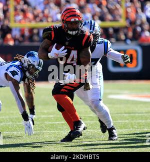 Cincinnati, Ohio, États-Unis. 6th novembre 2022. Samaje Perine (34) des Bengals de Cincinnati au cours DE LA SEMAINE 9 de la saison régulière de la NFL entre les Carolina Panthers et les Bengals de Cincinnati, Ohio. JP Waldron/Cal Sport Media/Alamy Live News Banque D'Images