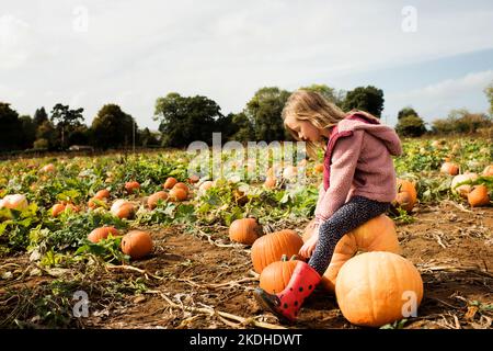 une jeune fille s'est assise sur une grande citrouille dans un champ de citrouilles à la campagne Banque D'Images