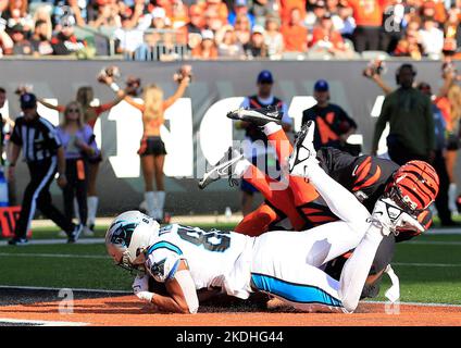 Cincinnati, Ohio, États-Unis. 6th novembre 2022. Au cours DE LA SEMAINE 9 de la saison régulière de la NFL entre les Carolina Panthers et les Cincinnati Bengals à Cincinnati, Ohio. JP Waldron/Cal Sport Media/Alamy Live News Banque D'Images