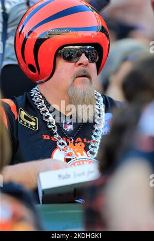 Cincinnati, Ohio, États-Unis. 6th novembre 2022. Cincinnati Bengals fan pendant LA SEMAINE 9 de la saison régulière de la NFL entre les Carolina Panthers et les Cincinnati Bengals à Cincinnati, Ohio. JP Waldron/Cal Sport Media/Alamy Live News Banque D'Images